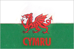 Ausschnitt eines walisischen Kfz-Kennzeichens (Quelle: kickschuh.wordpress.com)